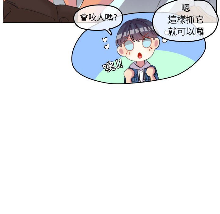 第 72 页