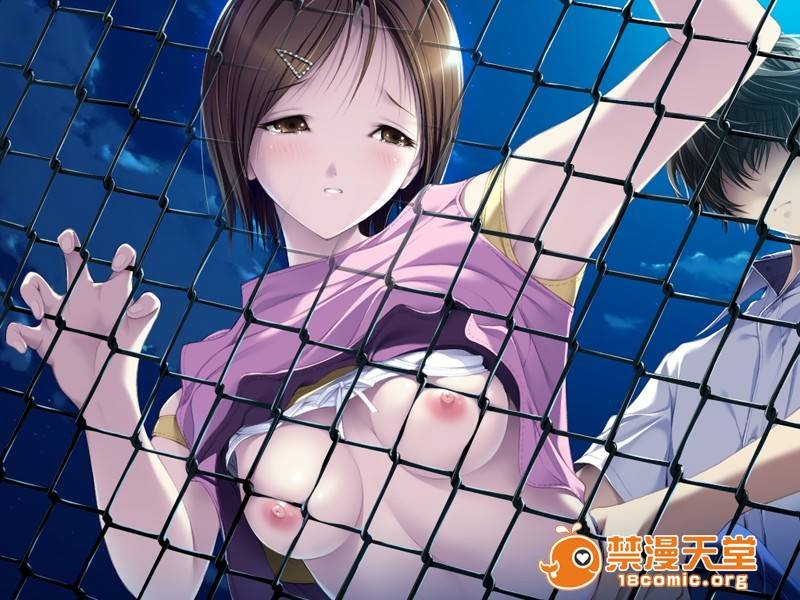 第 295 页