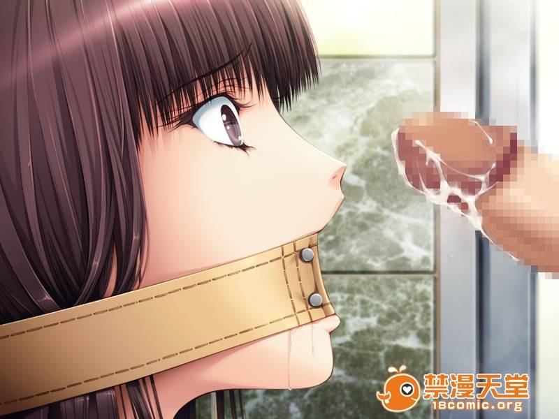 第 256 页