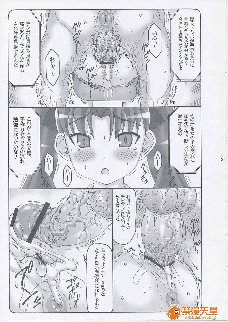 第 20 页