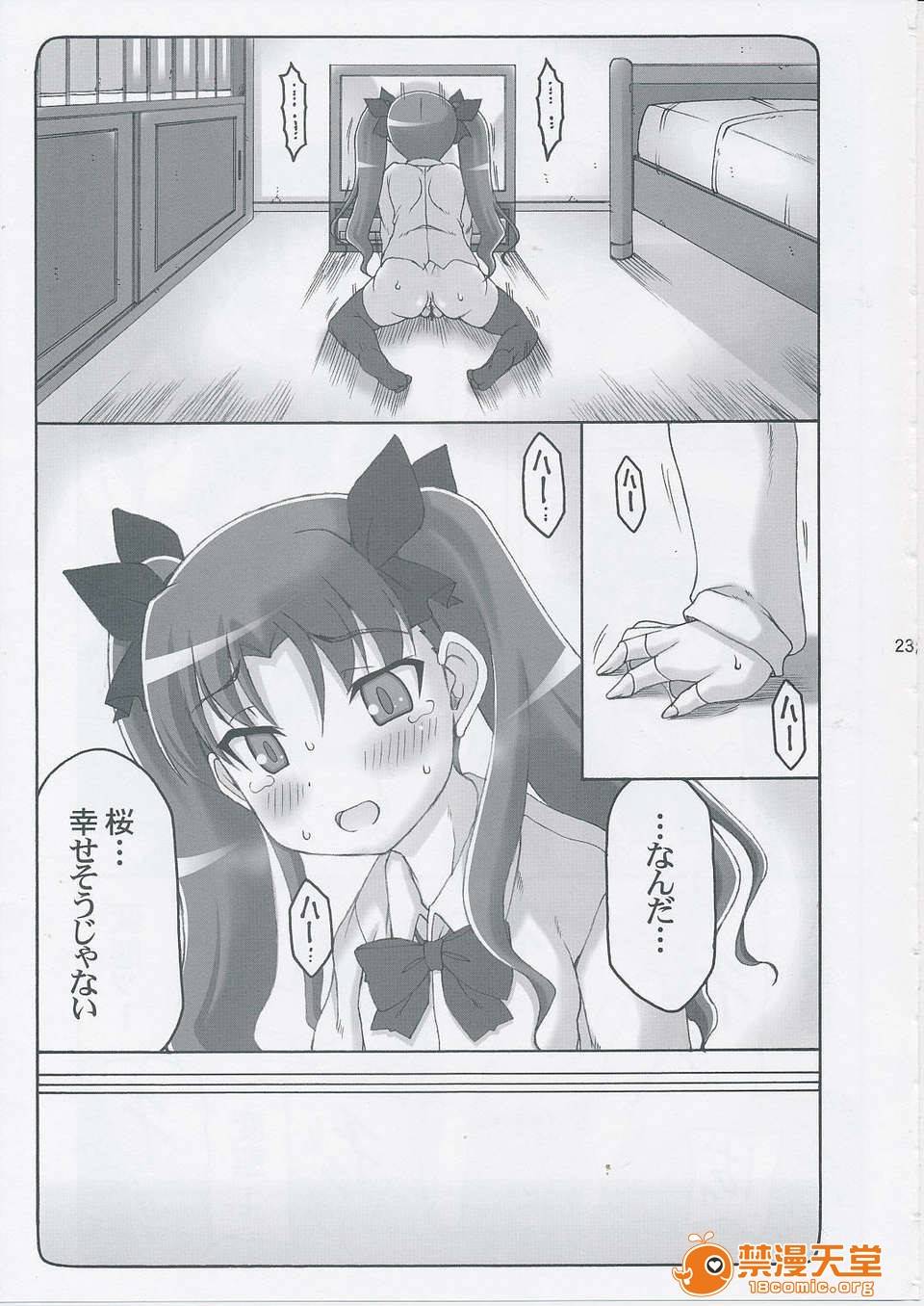 第 22 页