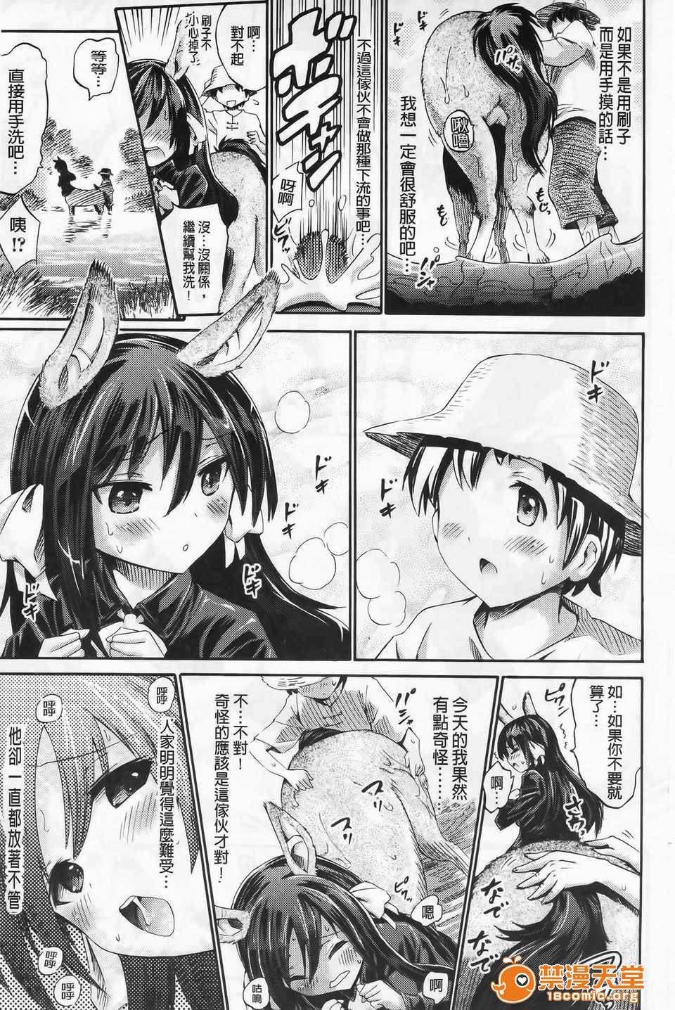 第 35 页