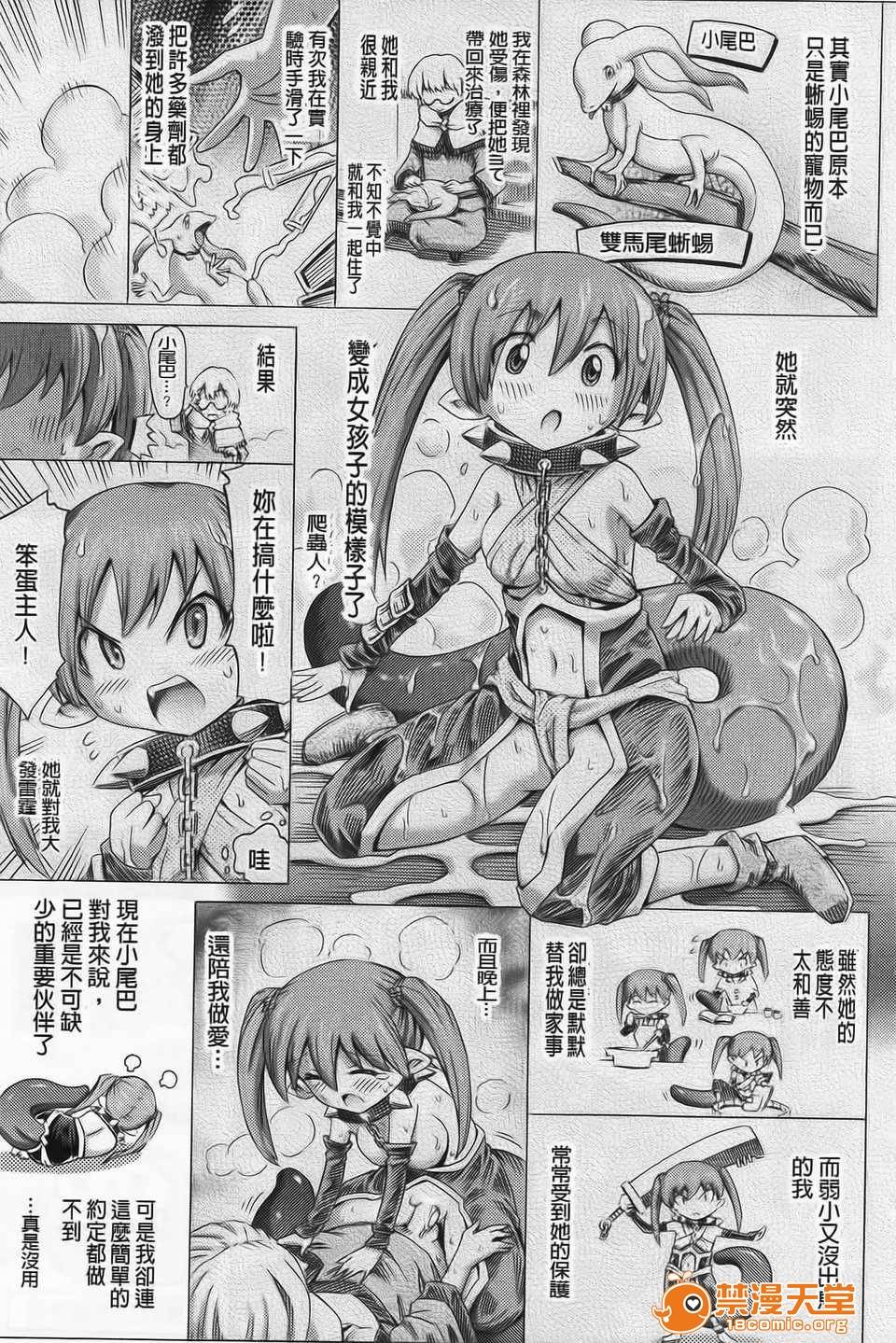 第 41 页