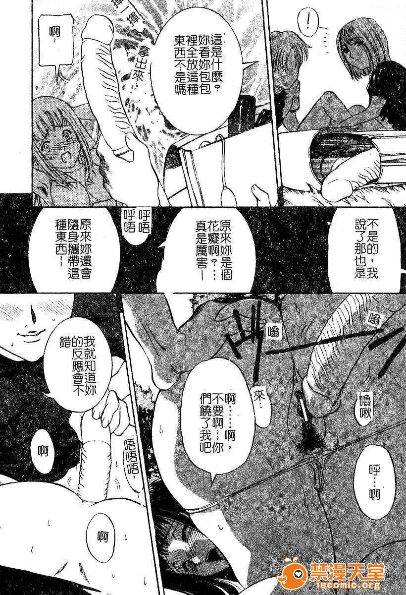 第 31 页