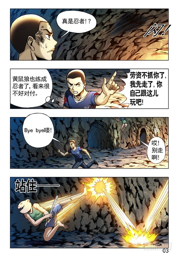 第 3 页