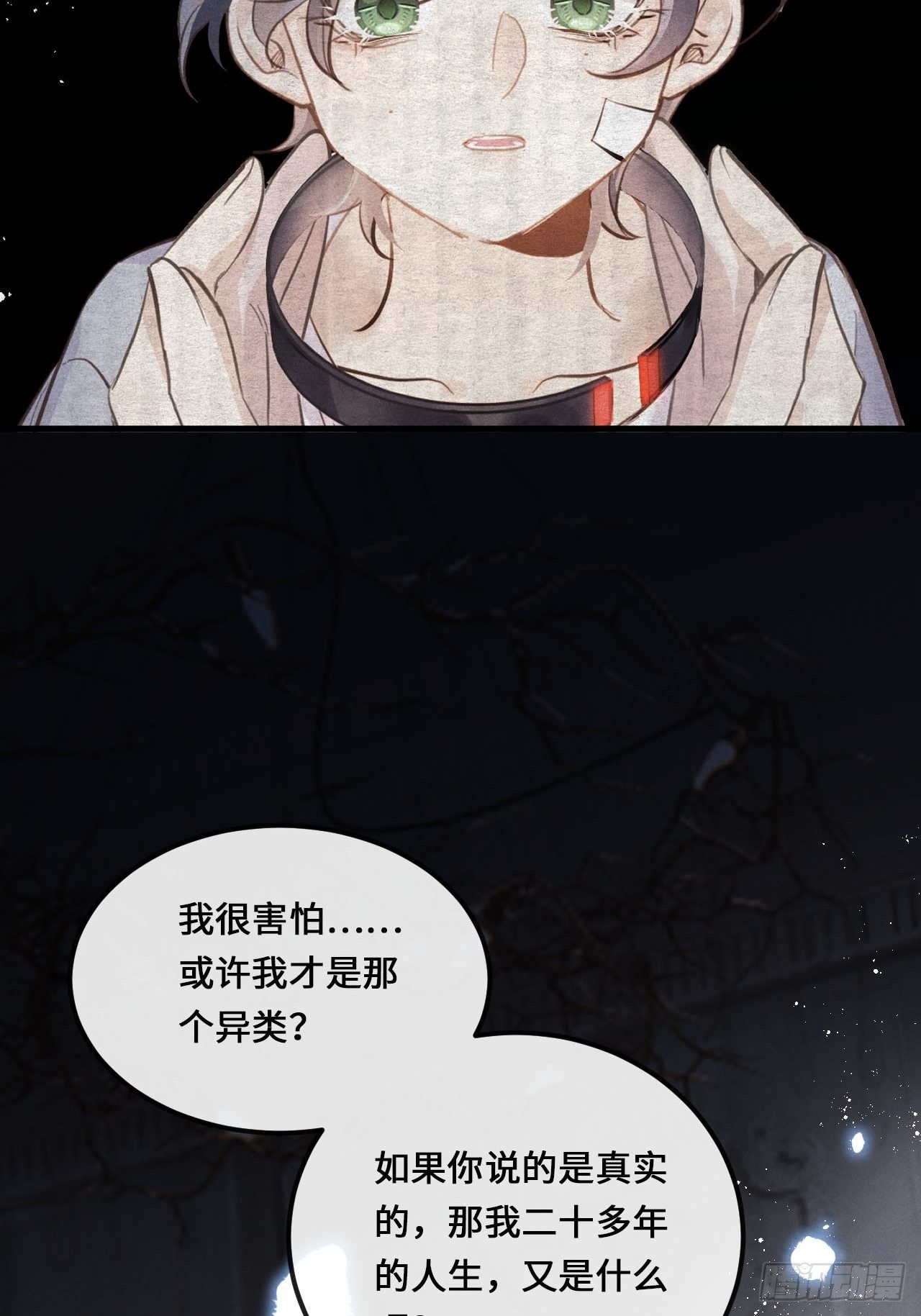 第 35 页