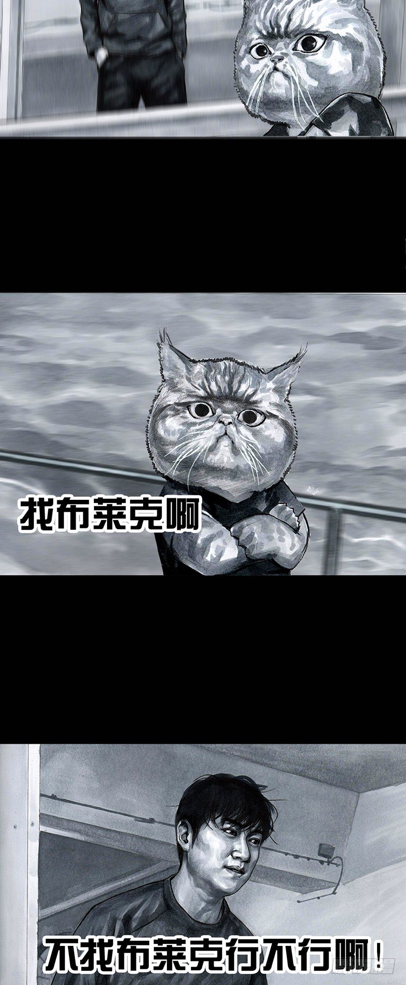 第 51 页