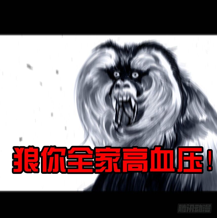 第 41 页