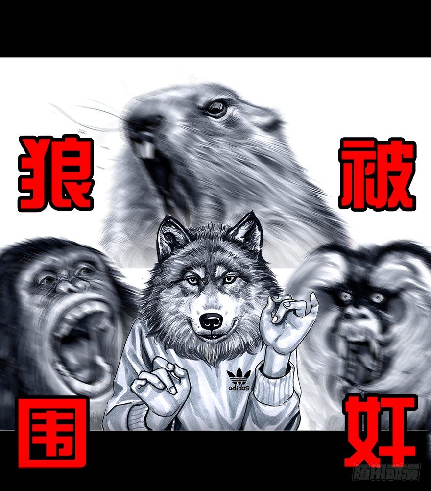 第 42 页