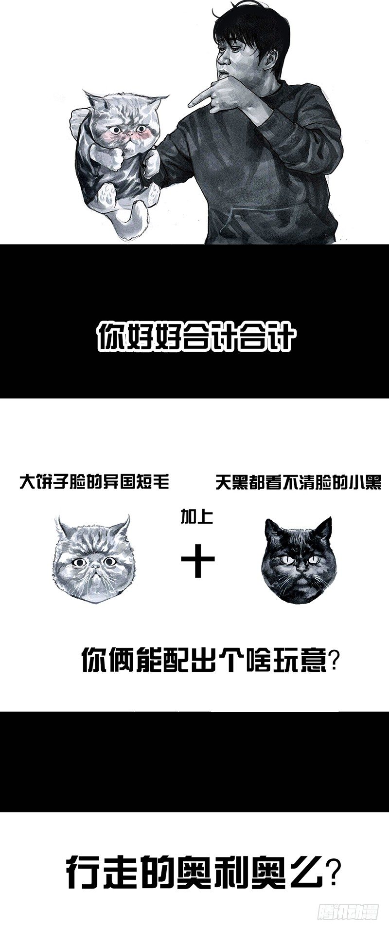 第 43 页