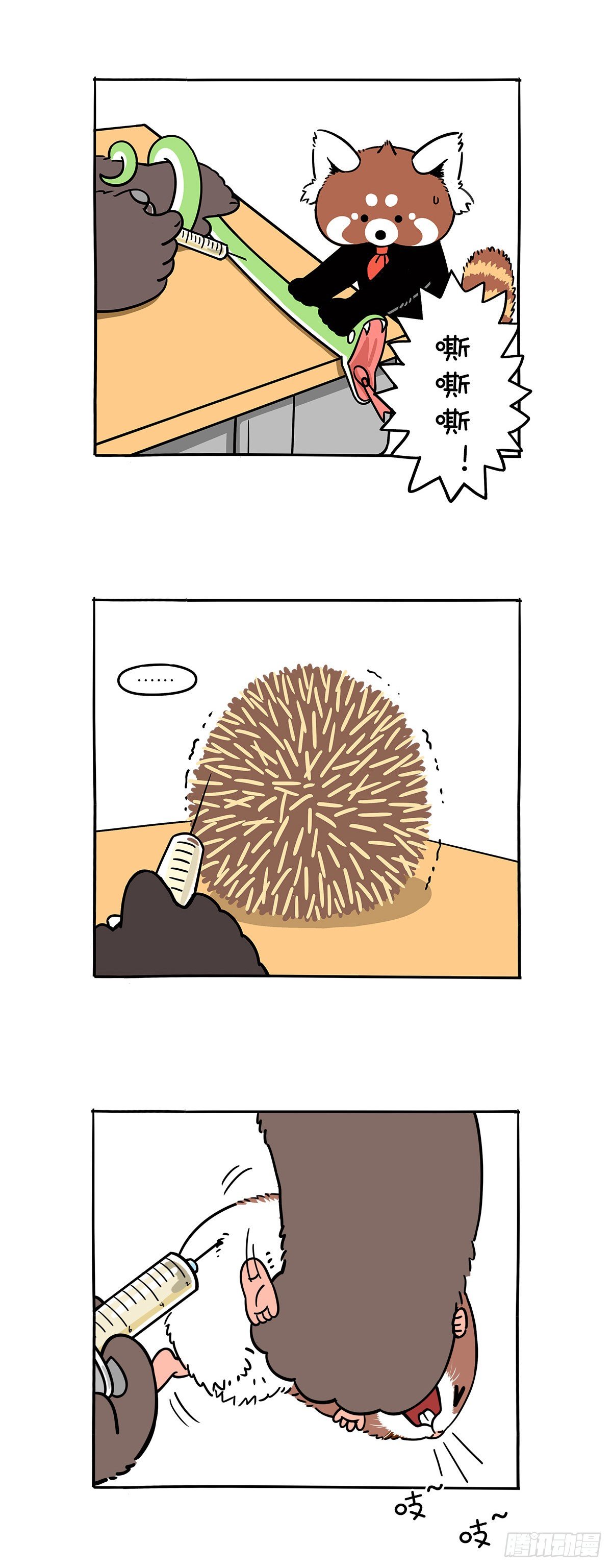 第 3 页