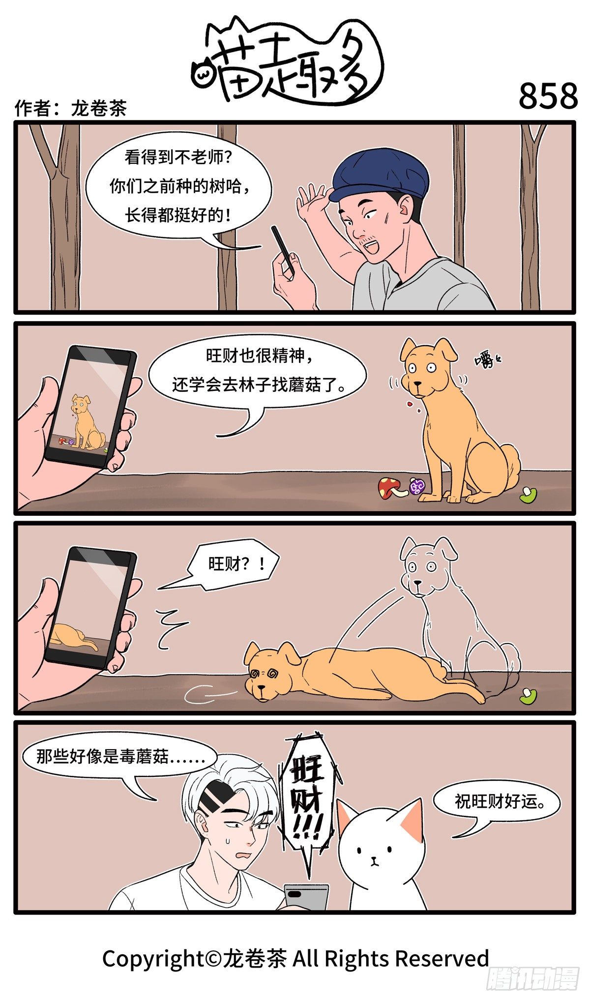 第 4 页