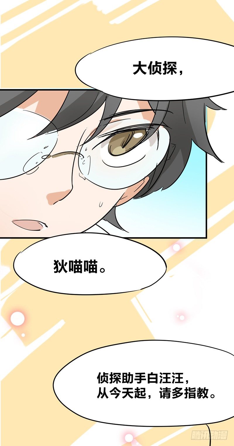 第 46 页