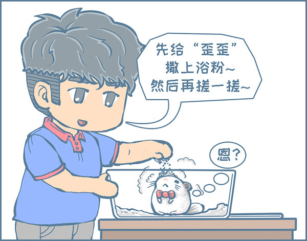 第 3 页