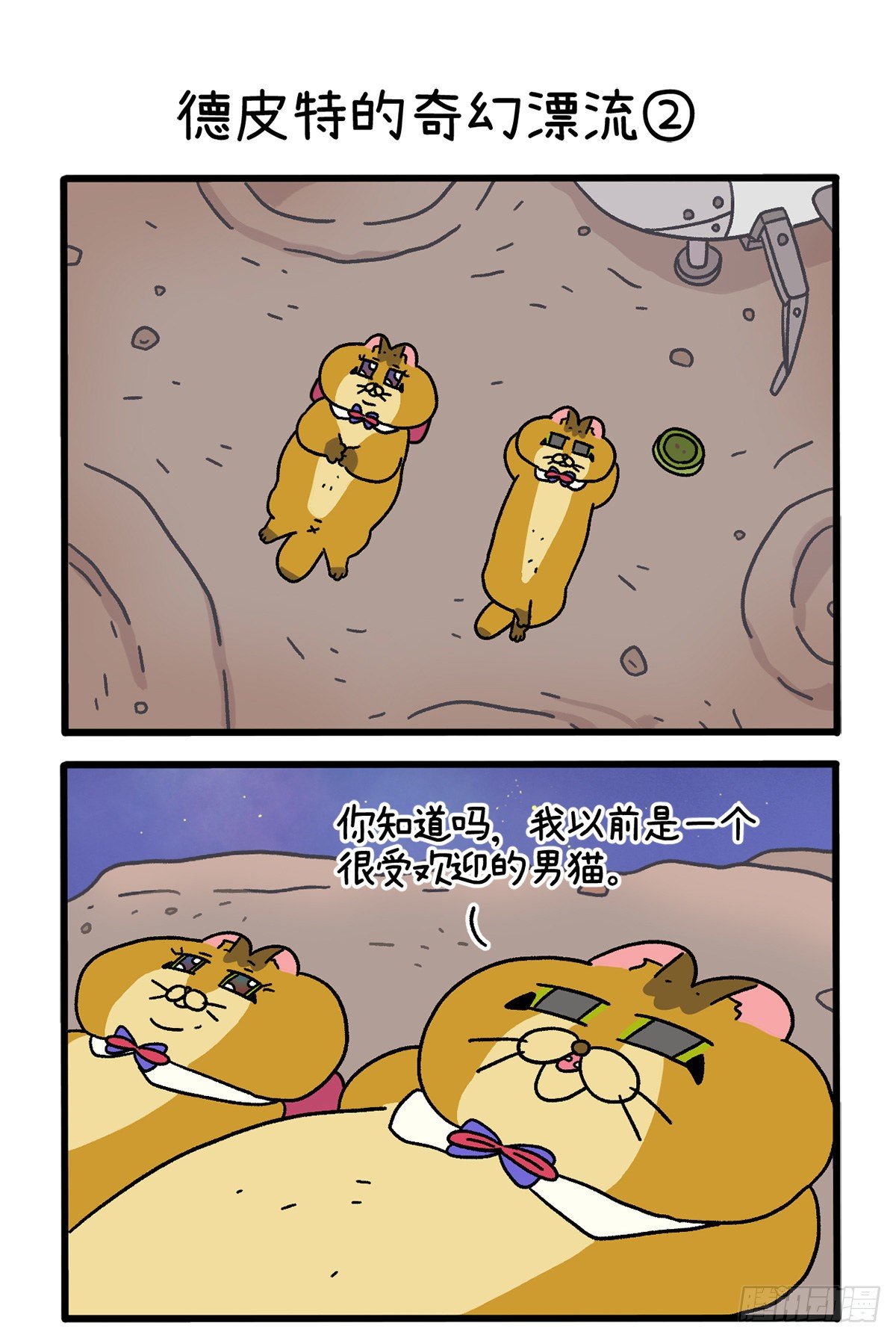 第 3 页