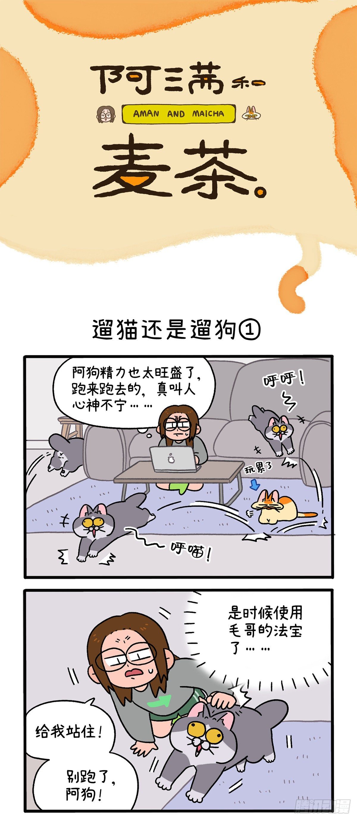 第 1 页